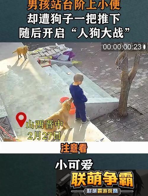轻松获取“人狗大战2”中文版观看渠道网友热议柯林