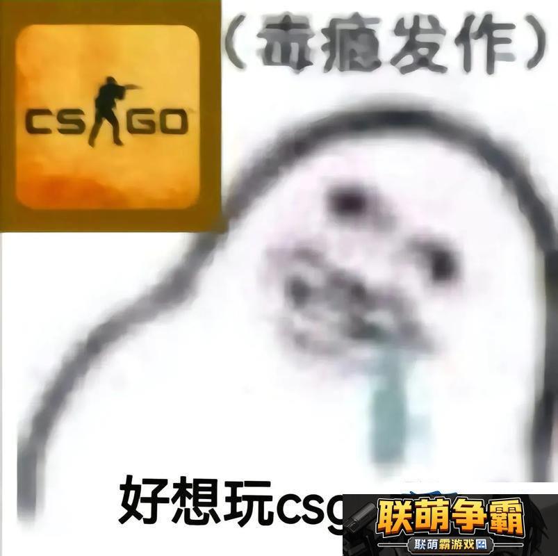 高龄“狙神”崛起！揭秘55岁大妈玩转CSGO的另类传奇