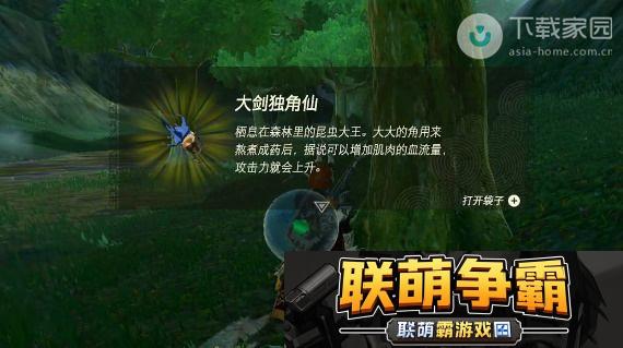 塞尔达传说王国之泪独角仙获取位置及详细攻略解析