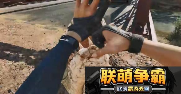 三角洲行动中的鳄鱼角色与作用解析探索其重要性和价值