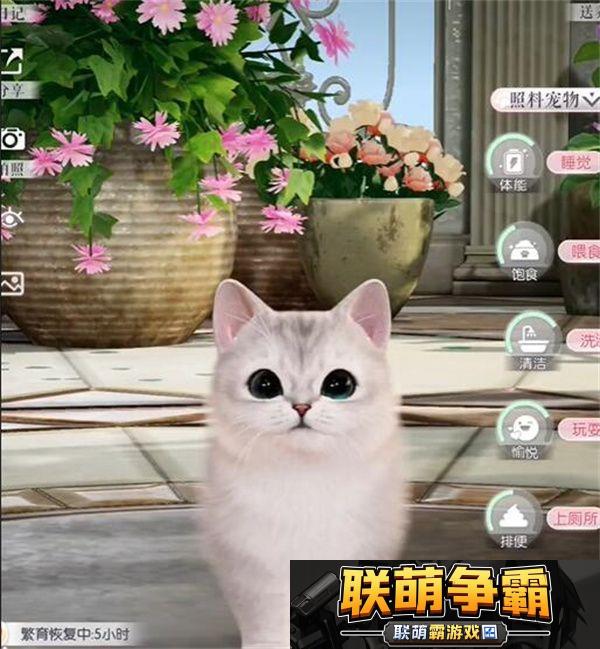 以闪亮之名限时萌宠时装礼包怎么样