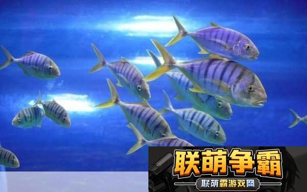 锕铜的奇妙世界