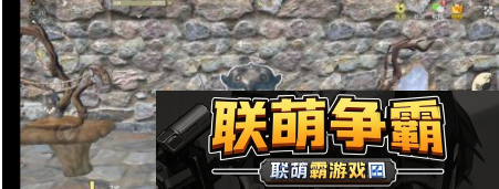 妄想山海花束怎么做