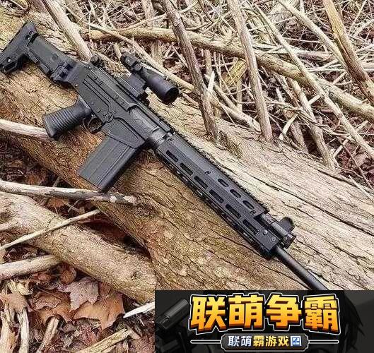 全民枪战游戏中冷门步枪全面介绍及其独特优缺点深度剖析