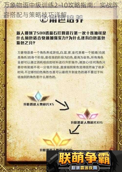 万象物语中级训练210攻略指南|实战阵容搭配与策略技巧详解