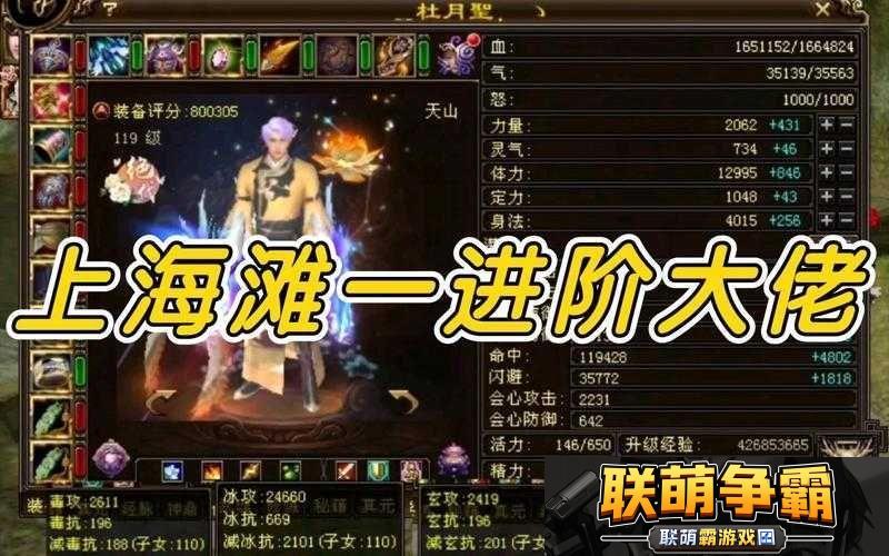 天山刺客-天龙八部手游中冰寒利刃-冷酷无情的战场杀手