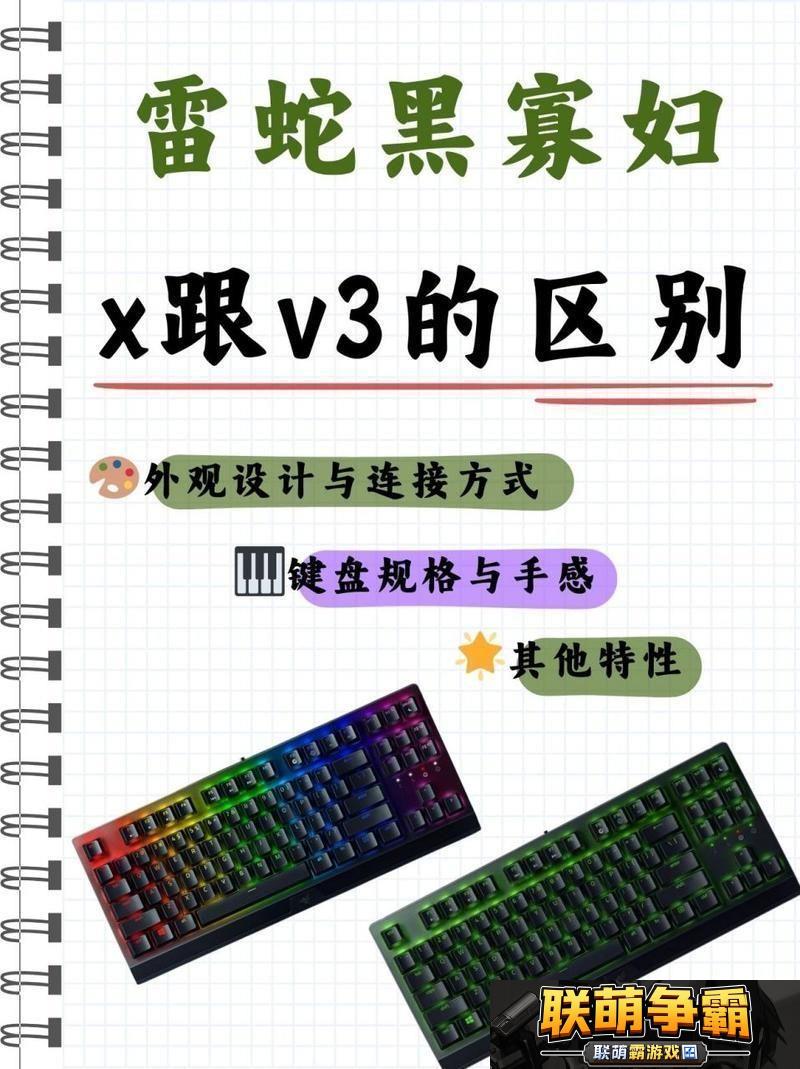 键盘江湖黑寡妇X与V3的恩怨情仇