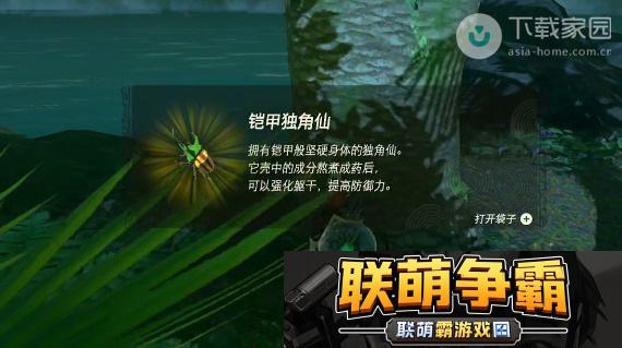 塞尔达传说王国之泪独角仙获取位置及详细攻略解析
