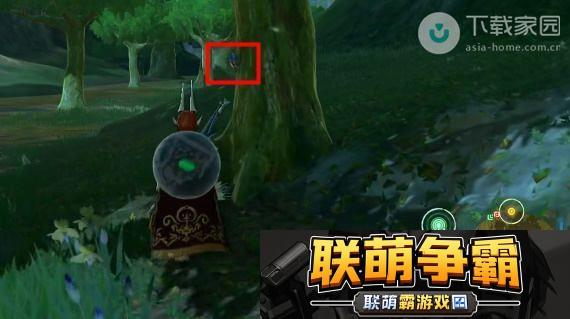 塞尔达传说王国之泪独角仙获取位置及详细攻略解析