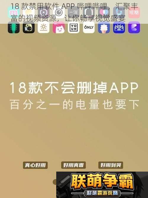 18-款禁用软件-APP-哔哩哔哩-汇聚丰富的资源-让你畅享视觉盛宴