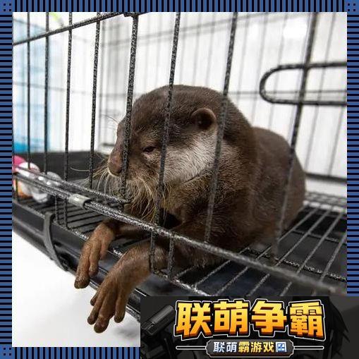 养宠新潮流-未来动物星探秘|蟑螂逆袭记