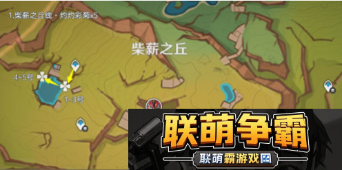 原神5.1灼灼彩菊在哪刷新-灼灼彩菊怎么快速找到